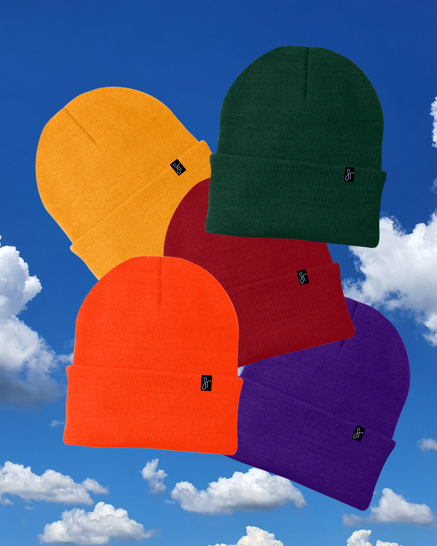 Color Theory Pack – Branded Blank Beanies (5-Pack)